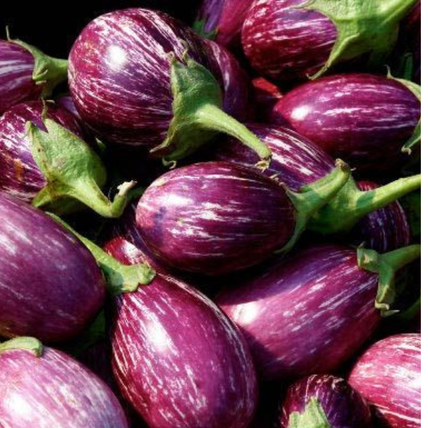 Brinjal (Eggplant)